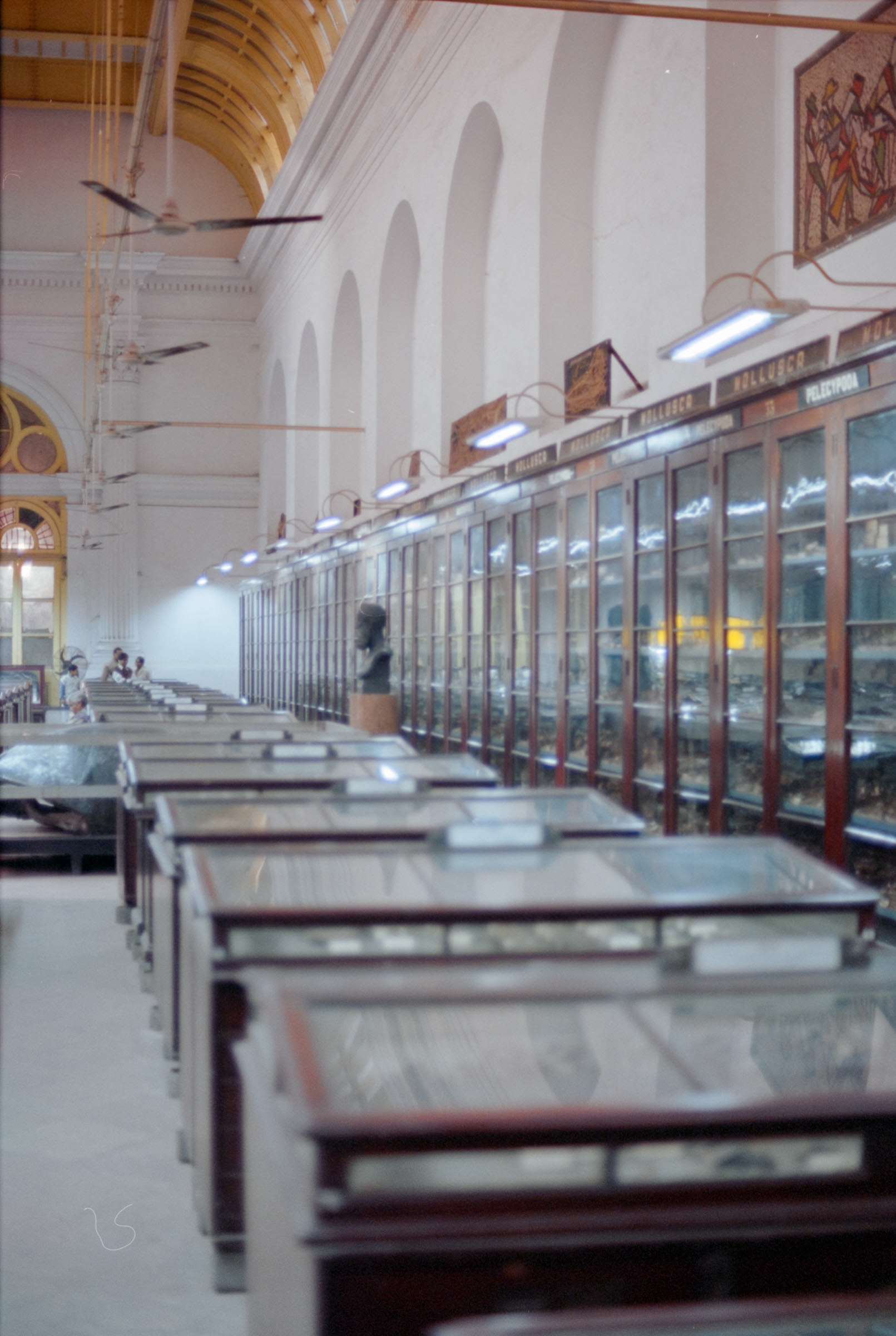 AHP film 2005 01 002 sc240825 img01 NLP